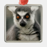 Lemur ornaments