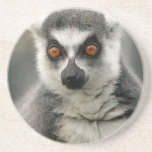 Lemur coasters