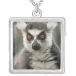 Lemur necklaces