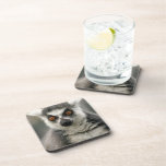 Lemur cork coasters