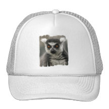 Lemur Face  Baseball Hat