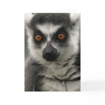 Lemur Face  Greeting Card