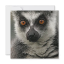 Lemur Face Invitations