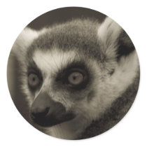 lemur face round stickers