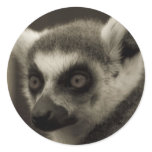 lemur face stickers