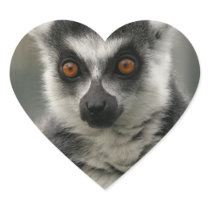Lemur Face  Stickers