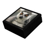 Lemur gift boxes