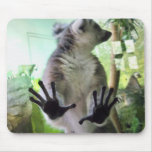 Lemur Hands mousepads