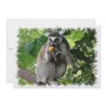 Lemur Invitation