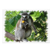Lemur Invitation