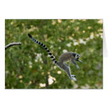 Lemur Jump Notecard