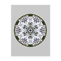 Lemur Kaleidoscope Postcards