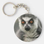 Lemur keychains