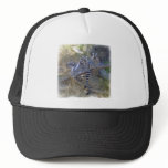 Lemur Line Hat