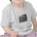 Lemur Line Infant T-Shirt