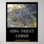 Lemur Line Poster