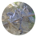 Lemur Line Stickers