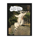Lemur Love You This Much Funny  Fathers Day postcards