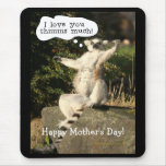 Lemur Love You This Much  Mother's Day Mousepad