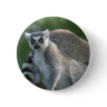 Lemur Mammal Button