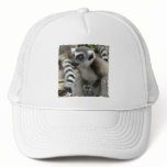 Lemur Monkey Baseball Hat