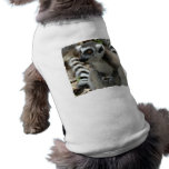 Lemur Monkey Dog Shirt pet clothing