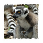 Lemur Monkey Kid's T-Shirt