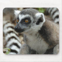 Lemur Monkey Mouse Pad