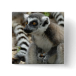 Lemur Monkey Square Pin buttons