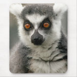 Lemur mousepads
