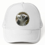 Lemur Photo Baseball Hat