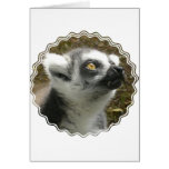 Lemur Photo Greeting Card