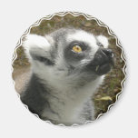 Lemur Photo Magnet