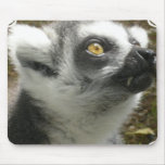 Lemur Photo Mous Pad mousepads