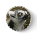 Lemur Photo Round Button