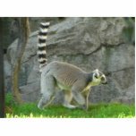 Lemur photo sculptures