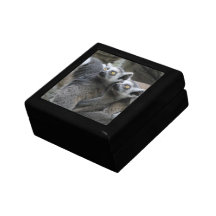 Lemur Piggy Back 5" Gift Box
