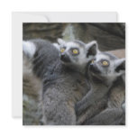 Lemur Piggy Back Invitations