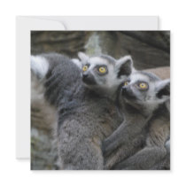 Lemur Piggy Back Invitations