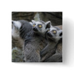 Lemur Piggy Back Pin