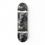 Lemur Piggy Back Skateboard