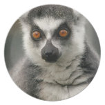 Lemur plates