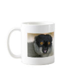lemur_redruffedonbranch, MadagascanRingtailLemu... Coffee Mug