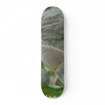 Lemur skateboards