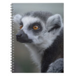 Lemur Spiral Note Books
