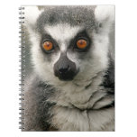 Lemur notebooks