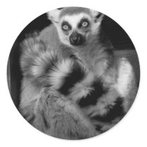 lemur round stickers