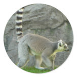 Lemur stickers