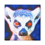 *Lemur* Wild Spirit Designs magnets
