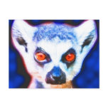 *Lemur* Wild Spirit Designs postcards